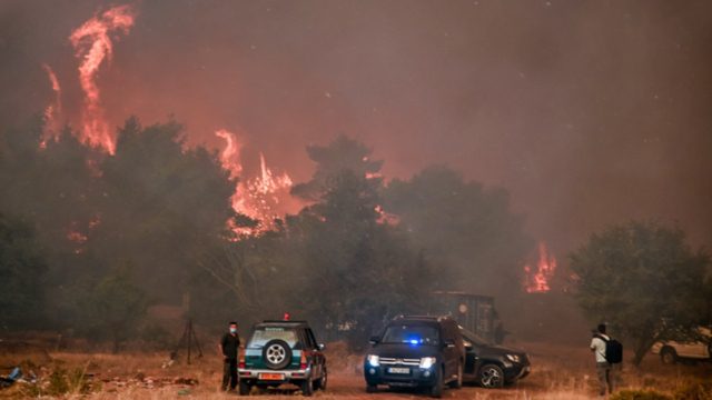 Φωτιά στα Βίλια: Οριοθετημένο το πύρινο μέτωπο – Σειρά από συλλήψεις και προσαγωγές για εμπρησμό