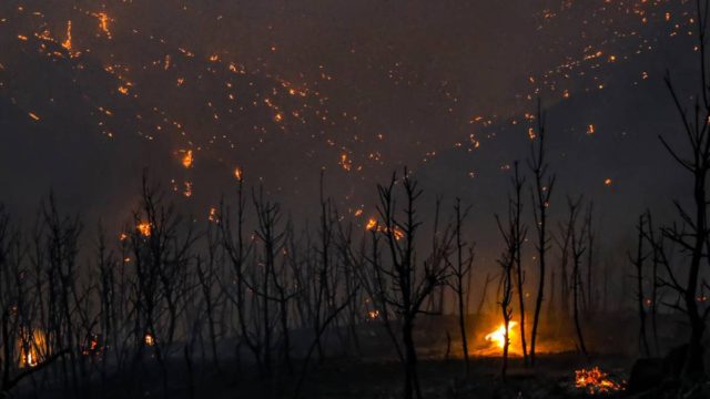 Φωτιά στην Αττική: Εκκενώνεται το Καλέντζι – Ενεργά μέτωπα σε Καπανδρίτι, Ιπποκράτειο Πολιτεία και Αφίδνες