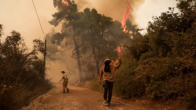 Φωτιά στην Εύβοια: Τυλίχτηκαν στις φλόγες οι Γούβες – Εκκενώνεται το Πευκί – Απειλείται η Γαλατσώνα