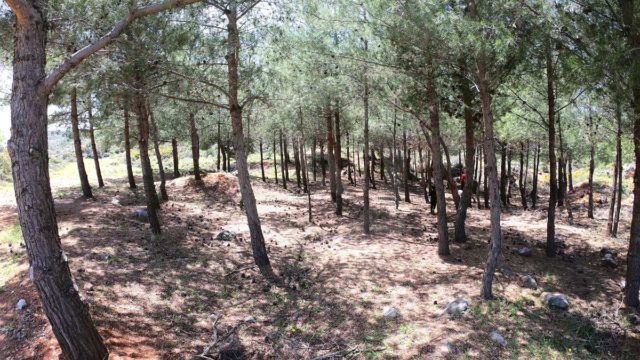 Σοκ! Μωρό 11 μηνών βρέθηκε νεκρό σε δάσος – Κατηγορούνται οι γονείς και η νταντά