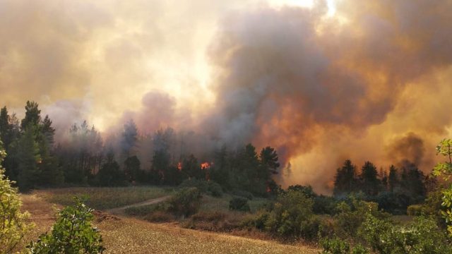 Φωτιά στην Ηλεία: Νέο μέτωπο σε εξέλιξη –  Εστίες σε Δούκα και Ξηρόκαμπο