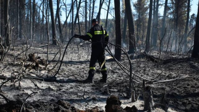 Σοβαρός τραυματισμός πυροσβέστη στη Πάρνηθα!