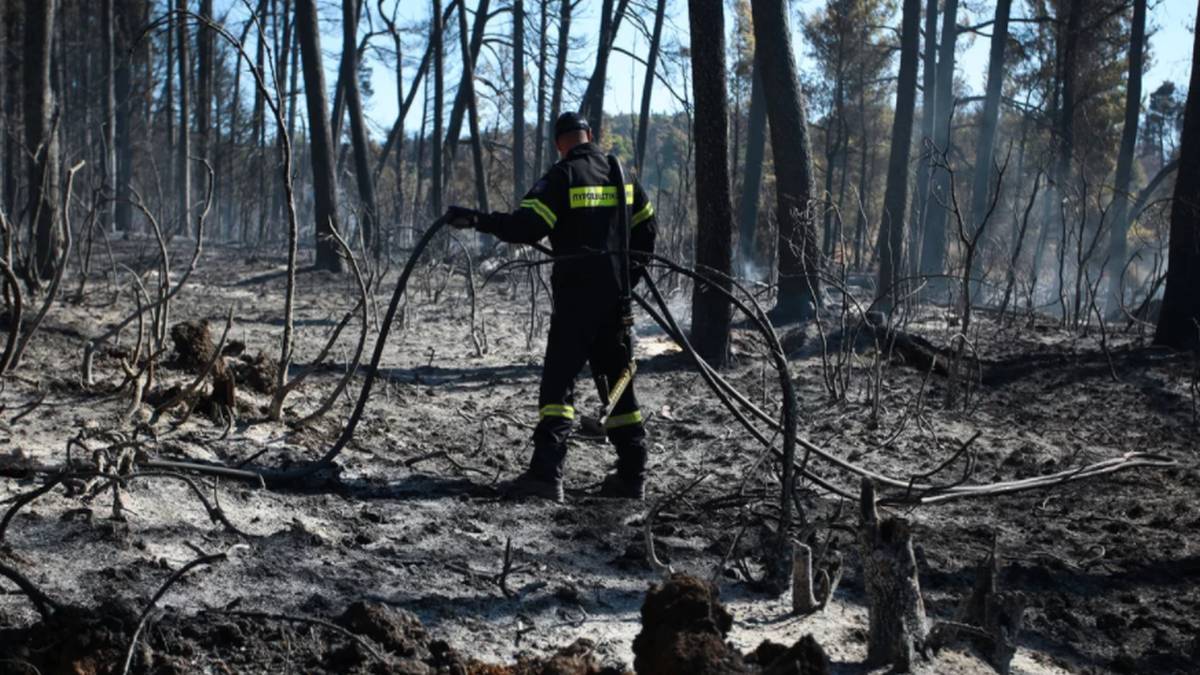 Σοβαρός τραυματισμός πυροσβέστη στη Πάρνηθα!