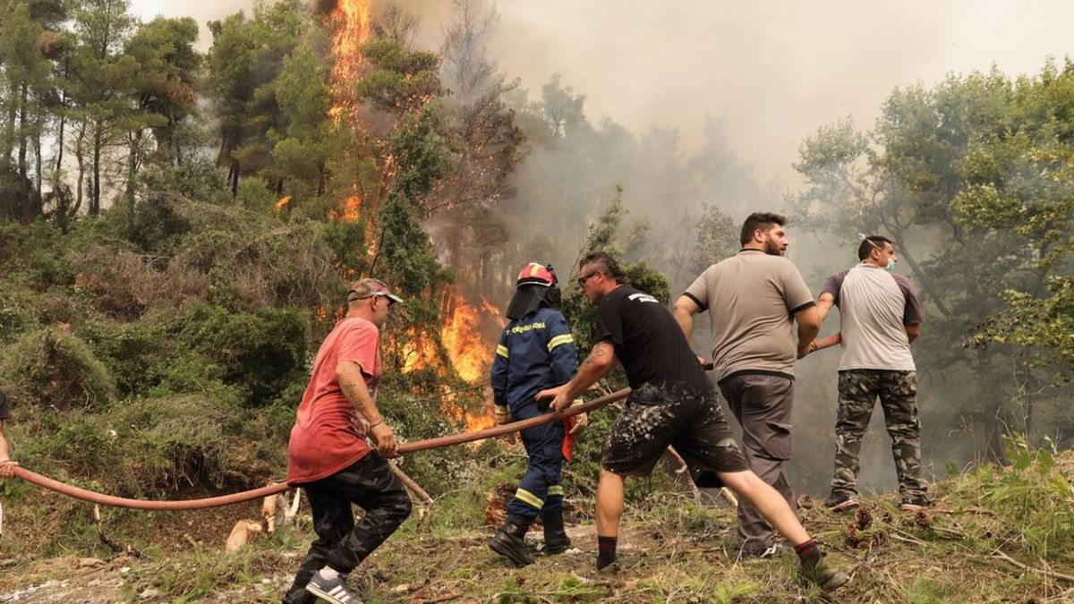 Φωτιά στην Εύβοια: Οργή από τους κατοίκους – Προχωρούν σε χιλιάδες αγωγές και μηνύσεις