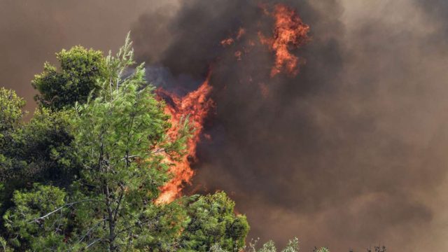 Φωτιά στα Βίλια: Μάχη με τις φλόγες – Φτάνει κοντά σε σπίτια η πύρινη λαίλαπα – Ανακόπηκε η πορεία προς τον οικισμό
