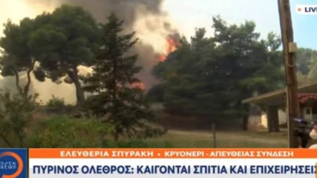 Φωτιά στο Κρυονέρι: Ουρλιάζουν μπροστά στον… ερχομό της τραγωδίας!