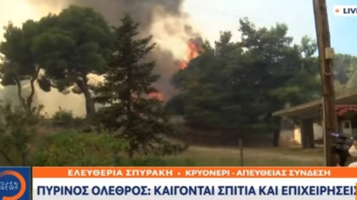 Φωτιά στο Κρυονέρι: Ουρλιάζουν μπροστά στον… ερχομό της τραγωδίας!