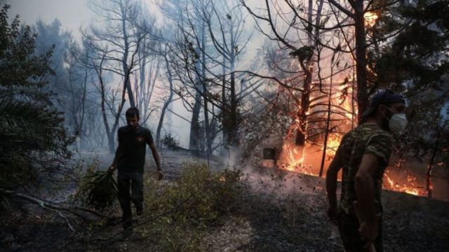 Δωρεάν 24ωρη ψυχολογική υποστήριξη στους πληγέντες των πυρκαγιών