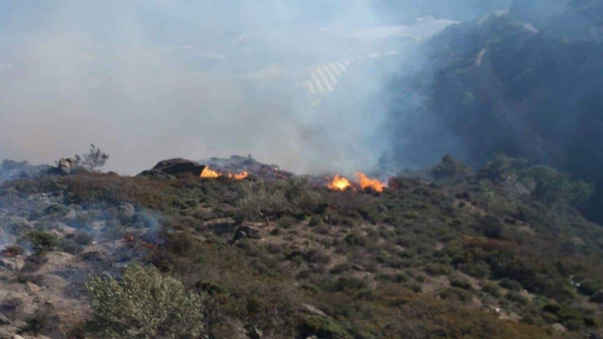 Νέα φωτιά στην Αίγινα – Άλλη μια μέρα τραγωδίας στην Αττική