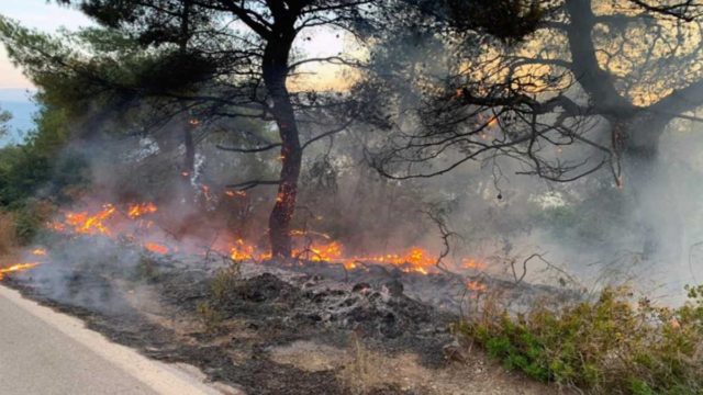 Νέα φωτιά στο Αλεποχώρι – Φωνές για εμπρησμό