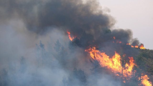 Φωτιά στην Άρλα Αχαΐας – Ξέσπασε κοντά σε σχολείο