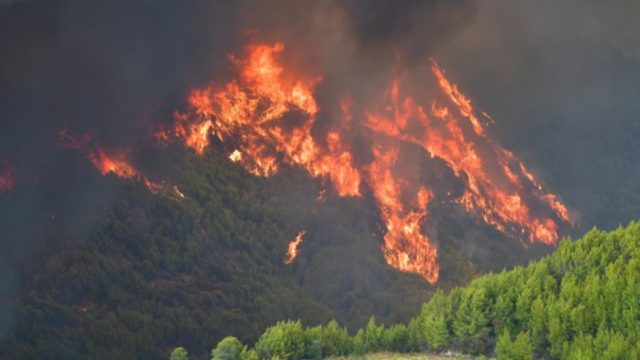 Φωτιά στην Αρχαία Ολυμπία: Λίνα Μενδώνη και Μιχάλης Χρυσοχοΐδης μεταβαίνουν στην περιοχή