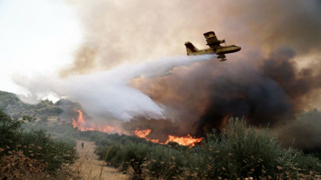 Νέα φωτιά στην Αρχαία Ολυμπία – Στο σημείο πυροσβεστικές δυνάμεις