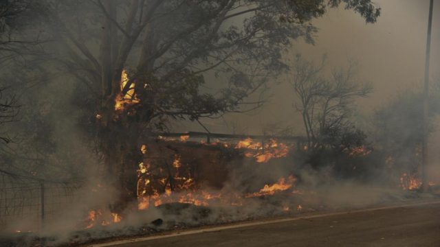Στάχτη πάνω από 3.000 στρέμματα στην Αχαΐα – Εικόνα από δορυφόρο