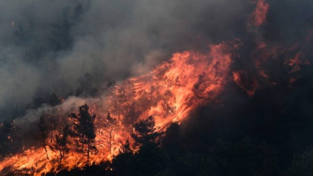Πυρκαγιές στην Ελλάδα: Συνεχίζονται οι μάχες σε όλα τα μέτωπα – Μεγάλος κίνδυνος σήμερα (15/8) από τους ανέμους