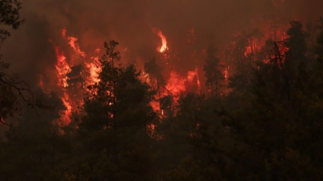 Φωτιά στην Εύβοια: Σε ύφεση τα μέτωπα στο νησί – Αισιοδοξία για τέλος του εφιάλτη
