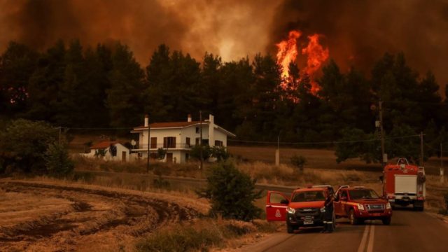 Φωτιά στην Εύβοια: Προσαγωγή υπόπτου για εμπρησμό στο Ασμήνιο