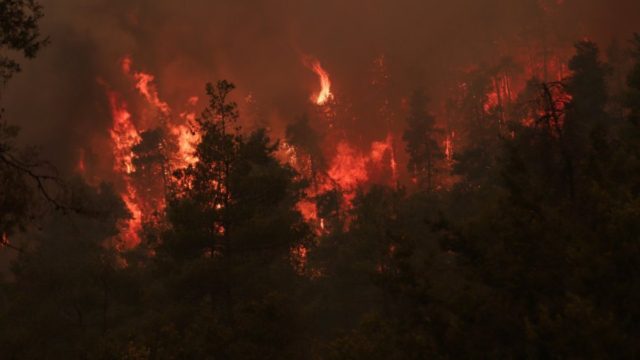Τραγωδία στην Εύβοια: Στάχτη πάνω από 1.000 σπίτια – «Καμπανάκι» των ειδικών για τις επιπτώσεις των καπνών από τις φωτιές