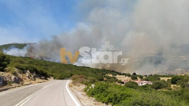 Νέα φωτιά στην Νότια Εύβοια – Συναγερμός λόγω ισχυρών ανέμων