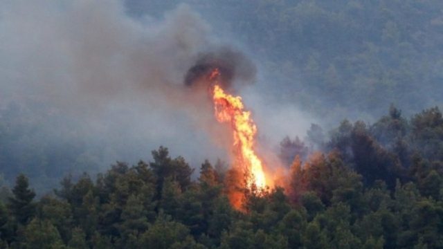 Φωτιά στη Φθιώτιδα: Εκκενώνεται ο Θεολόγος – Μήνυμα από το 112