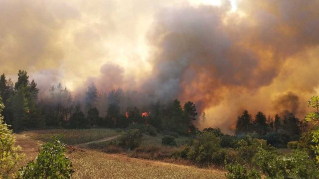 Φωτιά στην Ηλεία: Νέα αναζωπύρωση στην Αρχαία Ολυμπία