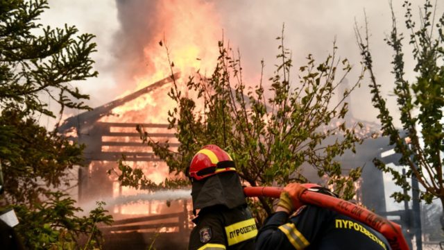 Φωτιά στην Αττική: Δίωξη για εμπρησμό στο Κρυονέρι σε βάρος 43χρονου