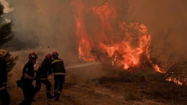 Φωτιά στην Αρκαδία: Νέα αναζωπύρωση στο Νεοχώρι – Ανυπολόγιστες οι καταστροφές