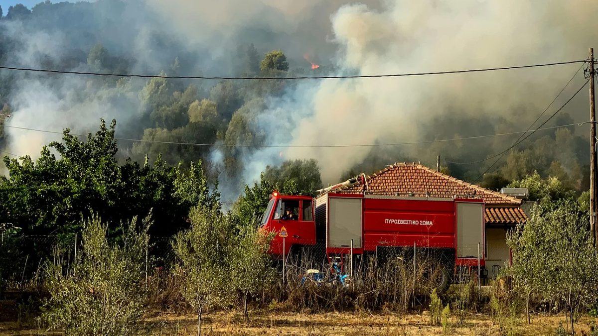 Ηλεία: Πυρκαγιά στις Καυκανιές του Δήμου Αρχαίας Ολυμπίας