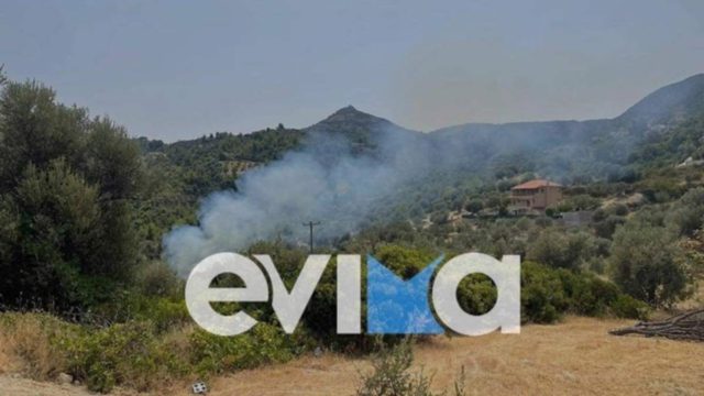 Φωτιά στην Εύβοια: Δεν ησυχάζει το νησί – Νέο μέτωπο στην Πλατάνα