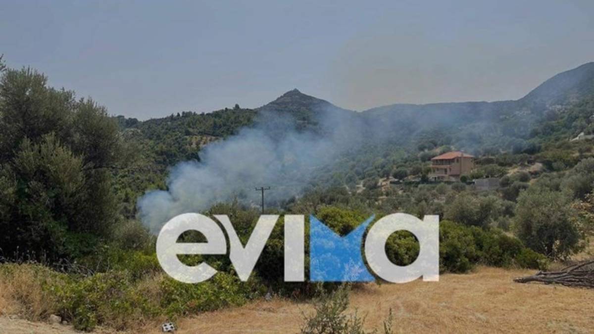 Φωτιά στην Εύβοια: Δεν ησυχάζει το νησί – Νέο μέτωπο στην Πλατάνα