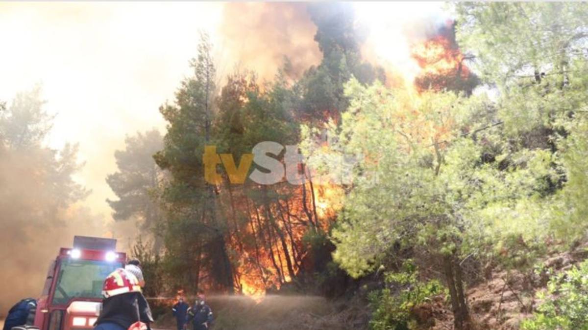 Φωτιά στο Θεολόγο: Προσήχθη 13χρονος