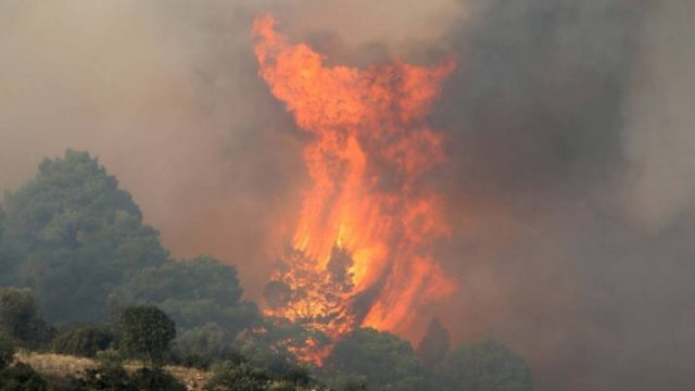 Φωτιά στην Χαλκιδική: Σε εξέλιξη το μέτωπο στην Φούρκα – Οι κεραυνοί έφεραν την πυρκαγιά