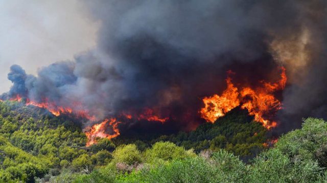 Θρίλερ στην Γορτυνία: Εκκενώθηκαν 19 οικισμοί – Ενισχύονται συνέχεια οι πυροσβεστικές δυνάμεις