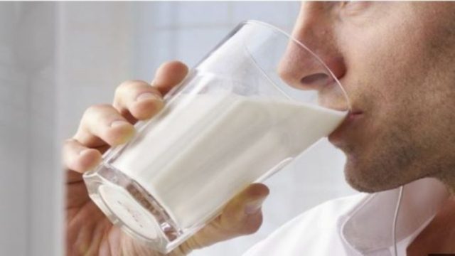 Γάλα κατσαρίδας: Το νέο superfood με τις απίστευτες ιδιότητές – Δείτε από τι θεραπεύει