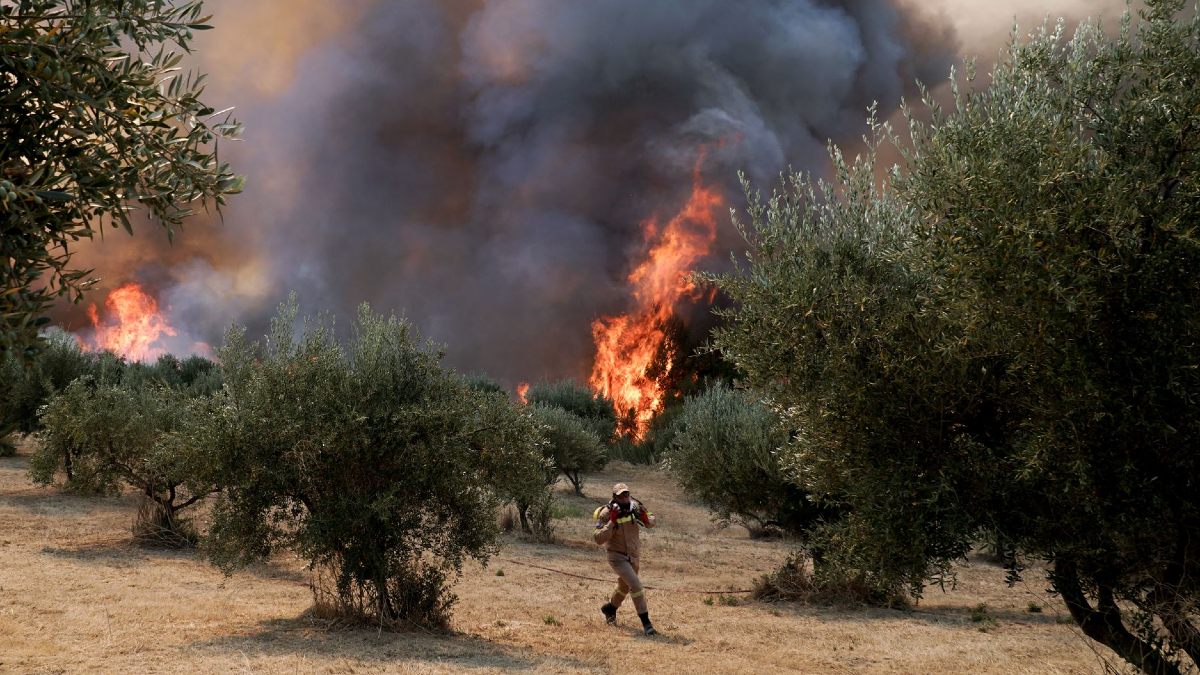 Νέα φωτιά τώρα στην Ηλεία: Πύρινο μέτωπο και στη Ζαχάρω