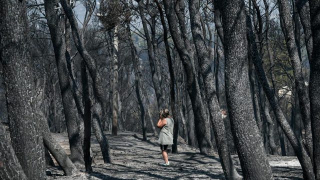 Τραγικό! Στάχτη πάνω από ένα εκατ. στρέμματα δασικής έκτασης