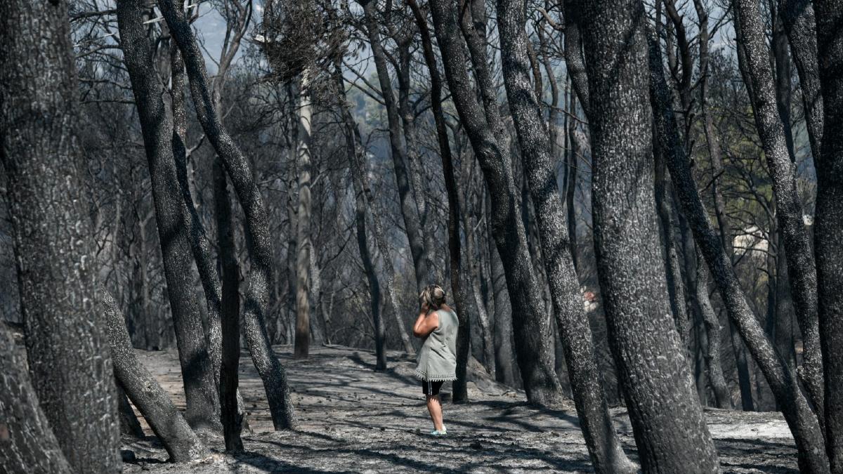 Τραγικό! Στάχτη πάνω από ένα εκατ. στρέμματα δασικής έκτασης