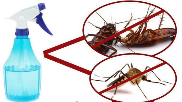 Ψεκάζει με αυτό το μείγμα κα μετά από 2 ώρες… τα κουνούπια, οι μύγες και οι κατσαρίδες εξαφανίζονται