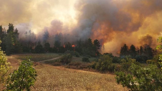 Μάνη: Αναζωπύρωση σε Γέρμα και Σκαμνάκι
