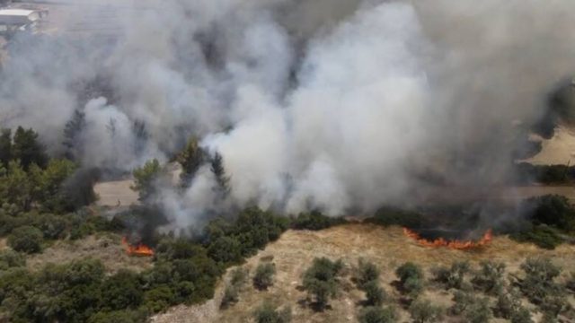 Φωτιά στη Μεσσηνία: Ισχυρές δυνάμεις στην περιοχή