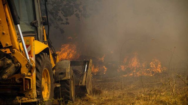 Θεσπρωτία: Πέρασε σε ελληνικό έδαφος η φωτιά από την Αλβανία