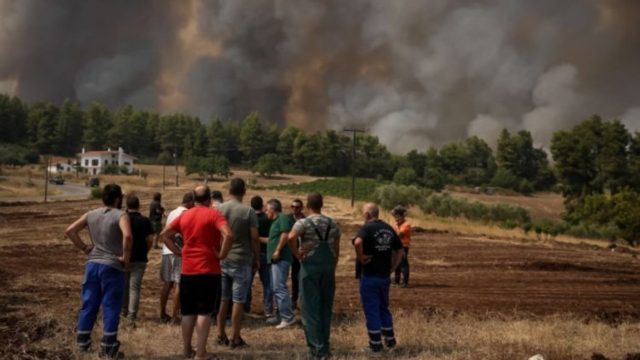 Φωτιές: «Πράσινο φως» για την πλατφόρμα αποζημιώσεων στους πυρόπληκτους – Η αίτηση και τα ηλεκτρονικά βήματα