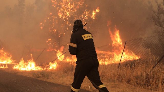 Φωτιά στην Εύβοια: Οι φλόγες κύκλωσαν τους πυροσβέστες – Τρεις τραυματίες