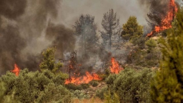 Υψηλός κίνδυνος πυρκαγιάς σε πέντε περιφέρειες για αύριο, Τρίτη