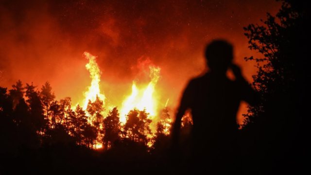 Πυρκαγιές στην Ελλάδα: Τραγική πρωτιά για την Ελλάδα από τις πύρινες «γλώσσες» – Στάχτη πάνω από 1 εκ. στρέμματα