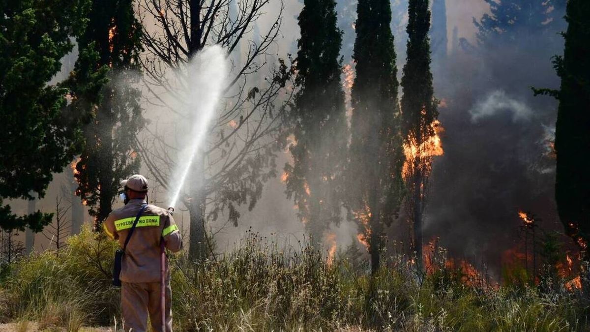Απαγόρευση κυκλοφορίας σε δασικές περιοχές – Δείτε ποιες είναι