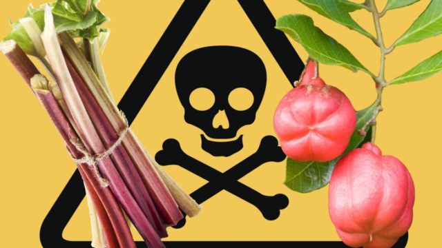 Έμφραγμα και εγκεφαλικό: Κίνδυνος από ουσία σε βασικές τροφές – Δείτε ποιες είναι αυτές