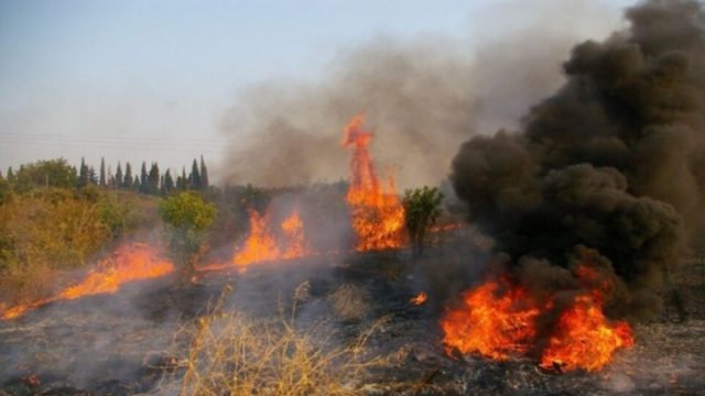 Φωτιά στο Άγιο Όρος – Κινδυνεύουν κελιά