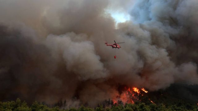 Φωτιά σε δασική έκταση στη Δράμα