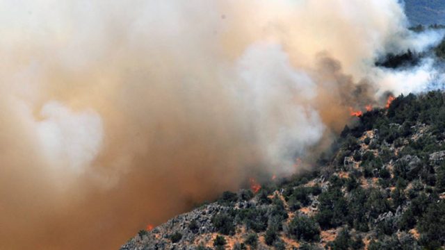 Φωτιά στον Ελαιώνα – Βρίσκεται κοντά στο hot spot μεταναστών